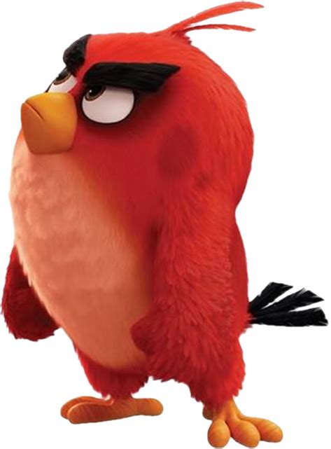 Red Angry Birds Photo 40834642 Fanpop