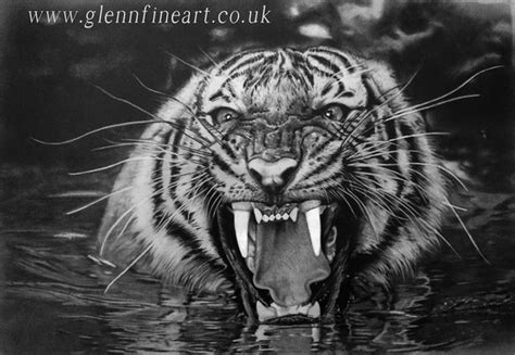 cool tiger drawings  inspiration hative