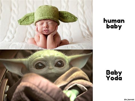 Baby Yoda Vs Human Baby Rbabyyoda