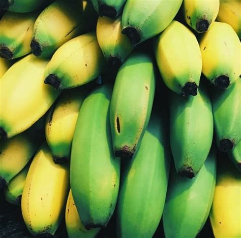 Nanjangud Banana Gitagged A Wonderland Of Spices And Fruits