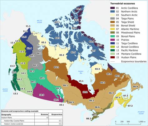 Soils Of British Columbia And Yukon The Western Cordillera Digging