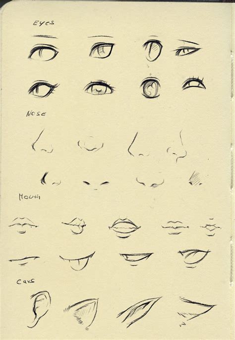 Reference Eyesnosemouthear By Ryky On Deviantart Nose Drawing