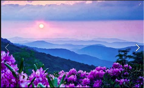 Sunset On Roan Mountain Carter County Tn During Rhododendron Season