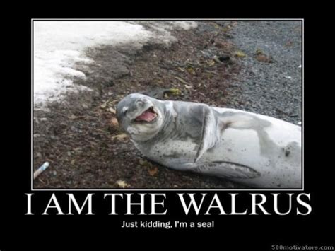 I Am Posters Motivate Me I Am The Walrus Just Kidding Im A