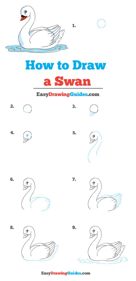 How To Draw A Swan Step By Step At Drawing Tutorials