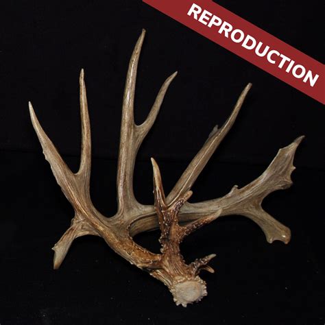 custom reproductions antlers by klaus