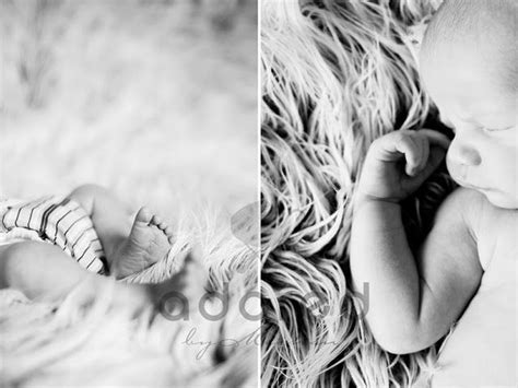 Newborn Photography Meghan Rickard Photography Image Photography