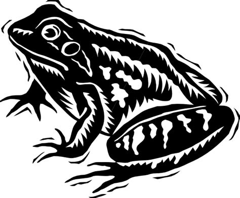 Black And White Frog Art Clip Art At Vector Clip Art Online