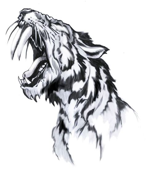 46 Best Sabertooth Tiger Tattoo Drawings Images On Pinterest Tattoo