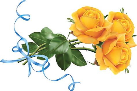 Yellow Roses Bouquet Clipart 10 Free Cliparts Download Images On