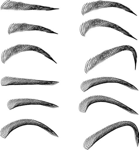 Outline Printable Eyebrow Stencils
