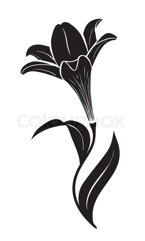 Lily Flower Vector Icon Stock Vector Colourbox