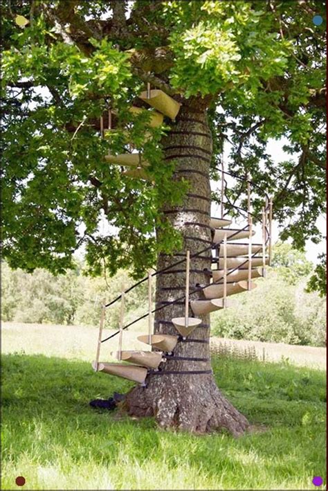 Spiral Treehouse Steps That Dont Hurt The Tree Strap This Spiral