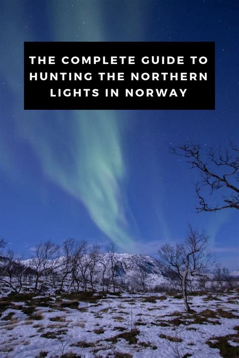 The Complete Guide To Hunting The Northern Lights From Tromso Norway