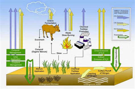 Organic Farming Can Save Us from Global Warming, Climate ...