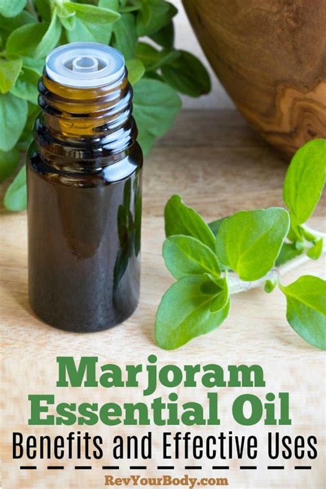 Marjoram Essential Oil Benefits And Effective Uses Marjoram Essential Oil Essential Oil