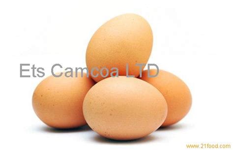 White And Brown Fresh Chicken Eggscameroon Price Supplier 21food