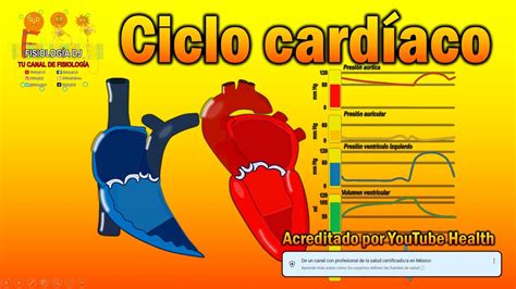 Ciclo CardÍaco Fácil Explicación Ciclo Cardíaco Fisiología Ciclo