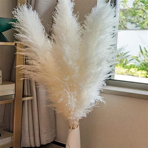6pcs Tall Pampas Grass 3 4ft Grand Sale Dry Florals For Etsy