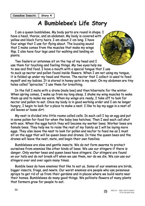 A Bumblebees Life Story Reading Lesson Grades 2 3