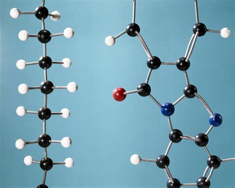 The word is derived from the greek, πολυ, polu, many; Introduction to Monomers and Polymers in Chemistry