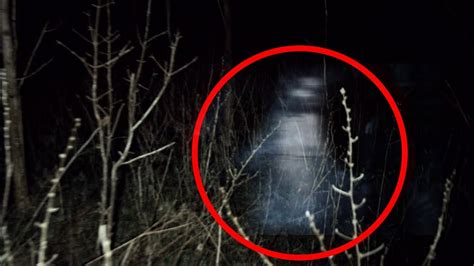 These are five of the most (apparently) scary ghost clips caught on camera. Real Ghosts Caught On Camera - Vimocafe