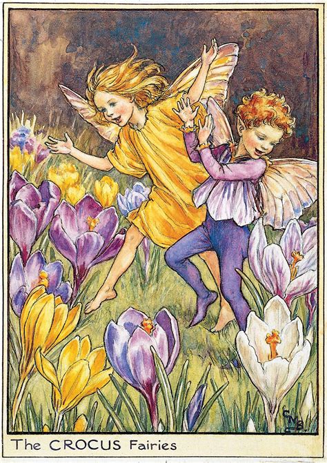 Daffodil Flower Fairy Poem Best Flower Wallpaper