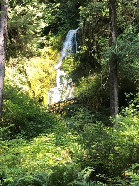 Hoh River Trail Washington Alltrails