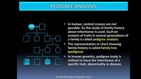 Principles Of Inheritance And Variation Class 12 Lecture 9 Youtube