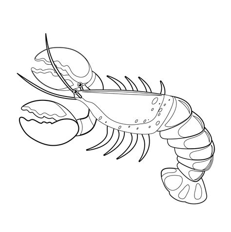 Free Lobster Coloring Pages For Kids Printable And Easy To Print