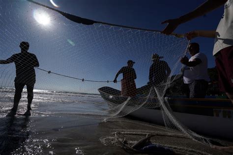 Notícia Udesc Laguna Coordenará Pesquisa Sobre Os Recursos Pesqueiros De Santa Catarina