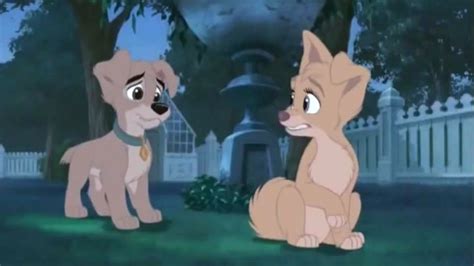 Lady And The Tramp 2 Scamps Adventure Movie Trailer And Videos Tv Guide