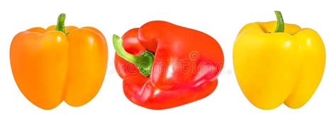 Red Orange And Yellow Bell Peppers Isolated On White Stock Image