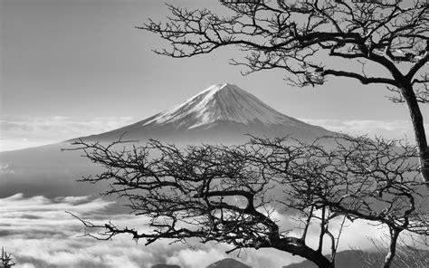 Oa85 Japan Fuji Maountain Bw Nature Wallpaper