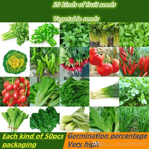 2020 Organic Vegetable Seed Package Packaging 20 Types Of