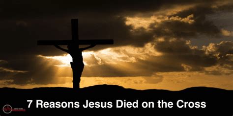 7 Reasons Jesus Died On The Cross New York Apologetics