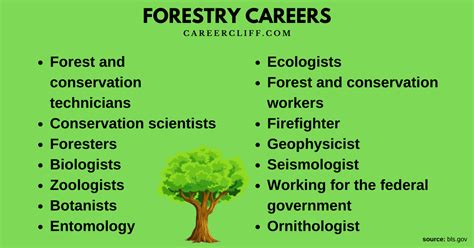 19 Best Forestry Jobs Careers Salary And Degree Careercliff