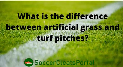 What Is The Difference Between Artificial Grass And Turf