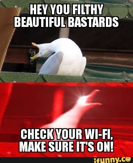 If Youre Doing Any Late Night Scrolling Make Sure Your Wi Fi Is On I Was Disconnected For