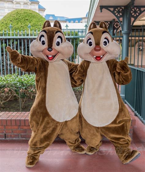 Chip And Dale Disney Characters Disney