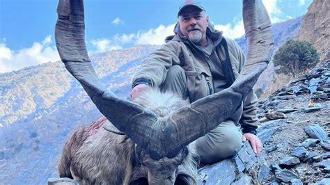 Trophy Hunter Pays Record Sum To Kill Rare Mountain Goat