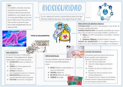 Bioseguridad Mapa Conceptual Esquemas Y Mapas Conceptuales De Cloud Hot Girl