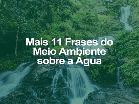 Mais 11 Frases Do Meio Ambiente Sobre A Água Oeco