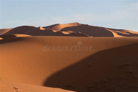 Sahara Sand Dunes In Late Afternoon Sun At Sunset With Long Shadows And