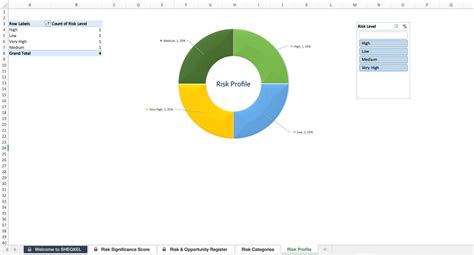 Risk And Opportunity Register Health And Safety Template Etsy