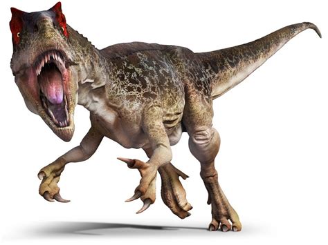 Allosaurus Facts Pictures Habitat Adaptation And Behavior