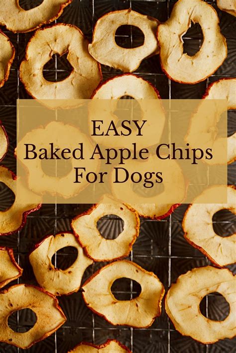 Baked Apple Chips For Dogs So Easy So Good So Healthy