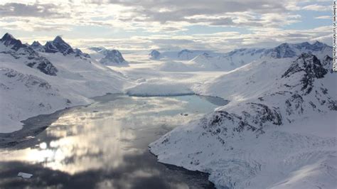 Greenland Polar Bear Population Lives Without Sea Ice Cnn