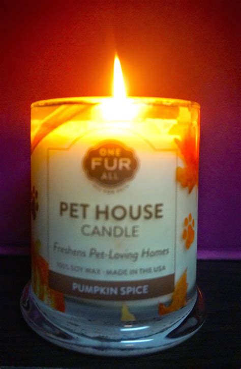 Totally we have listed more than 7 coupon codes & promo codes for dogwhistle. At the Fence: Pet House Candle #Gift Idea