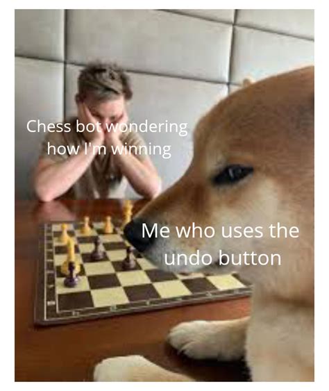 The Laws Of Time Are Mine Dog Playing Chess Know Your Meme